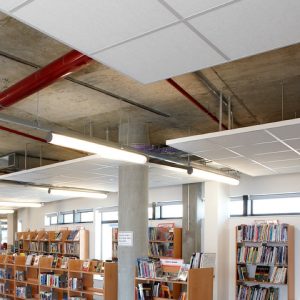 design-enviro-government-library-ceiling-copy_600-png